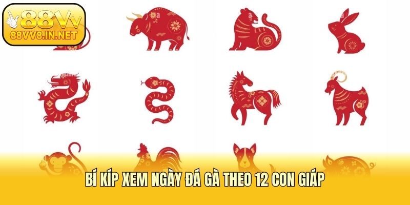 Bí kíp xem ngày đá gà theo 12 con giáp