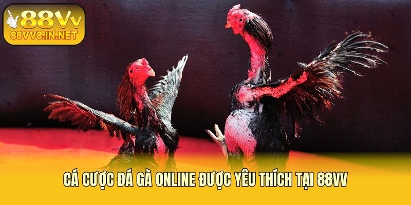 Cá cược đá gà online được yêu thích tại 88vv