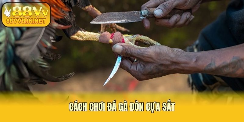 Cách chơi đá gà đòn cựa sắt
