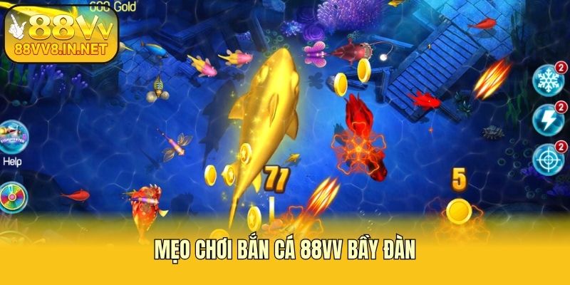 Mẹo chơi bắn cá 88vv bầy đàn